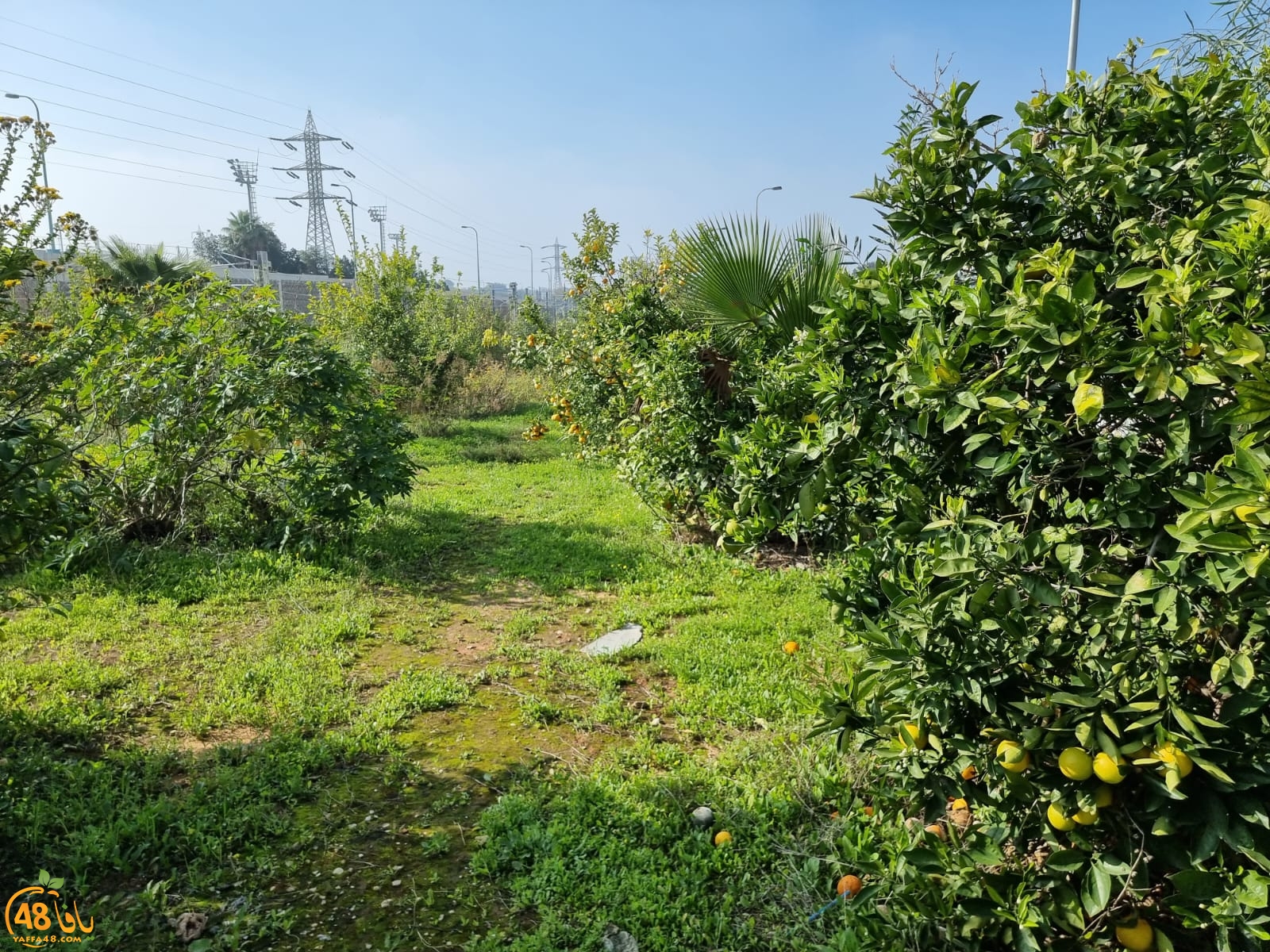 WhatsApp Image 2022-01-08 at 1.29.42 PM.jpg